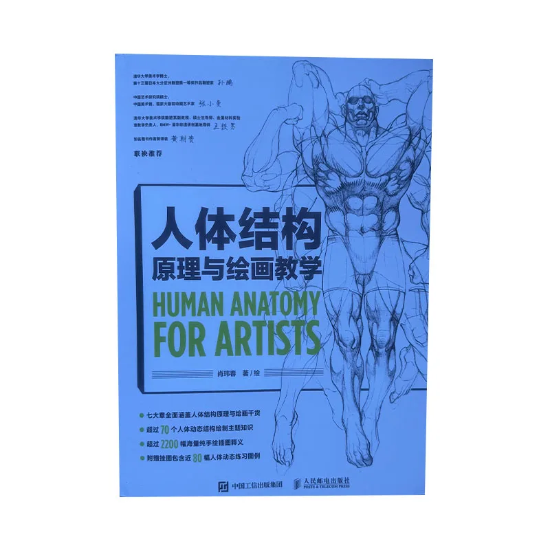 Human Anatomy For Artists Human Body Structure Principle and Painting Teaching Self-study Textbook  Art Collection Books