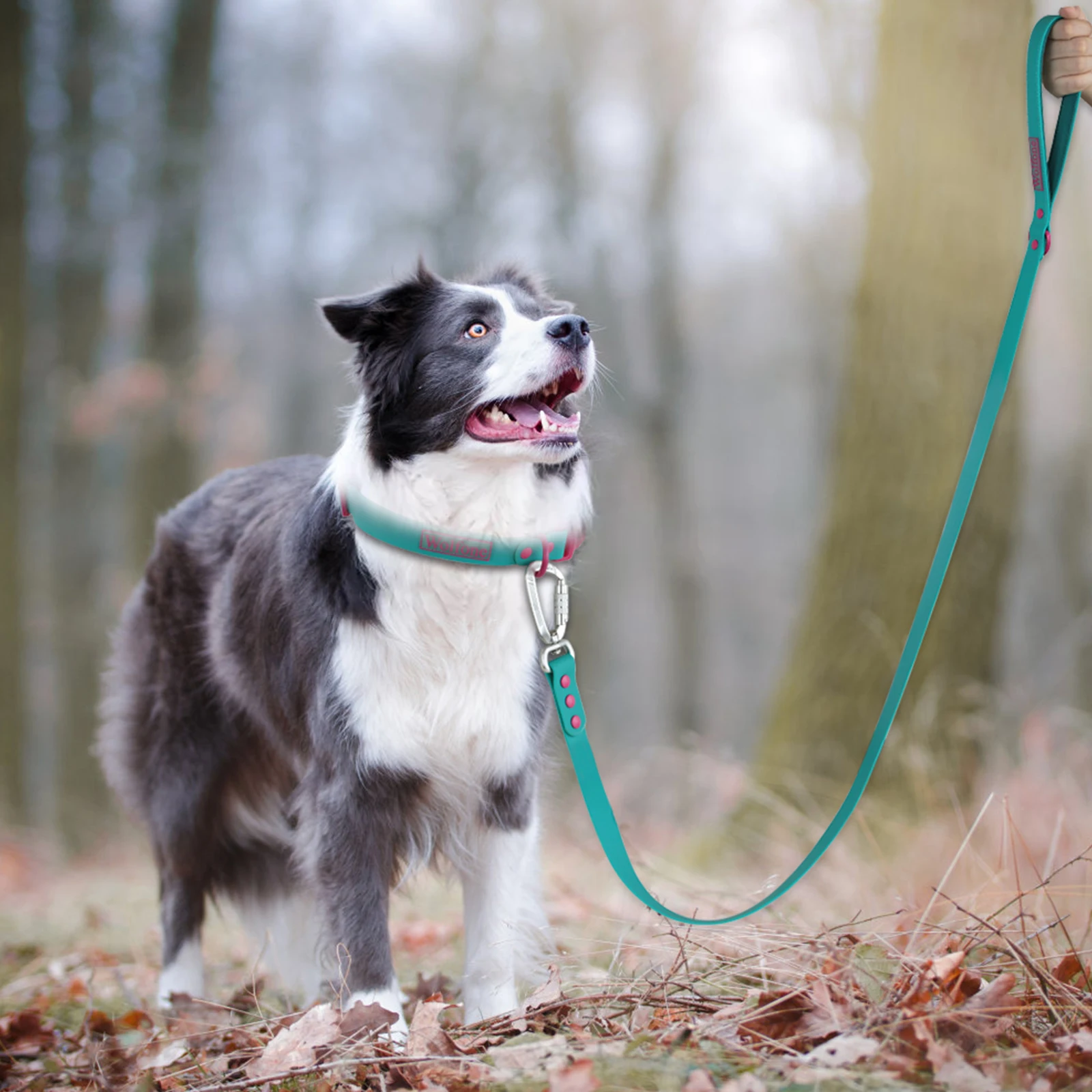 

Dog Poop Bag Holder Leash Generation Medium Adjustable Two Piece Dog Lleash Walking Bags Lead Lea