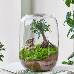 1PC Large Belly Glass Bottle, Used For Home, Office, Window Display, Desktop Decoration, Micro Garden, Handmade DIY Scenes