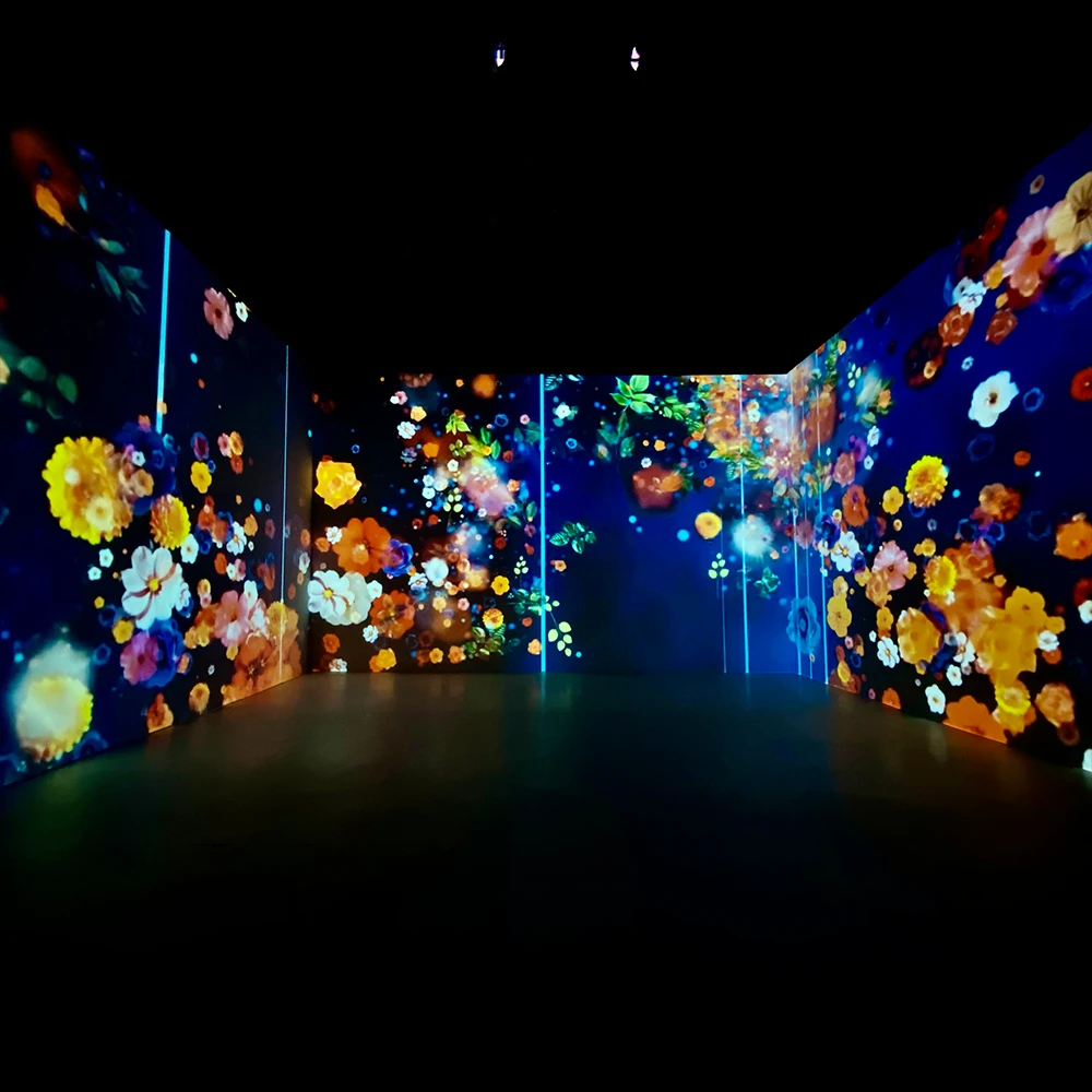 Immersive Interactive Floor Projection Games Kids Commercial Indoor Play Equipment