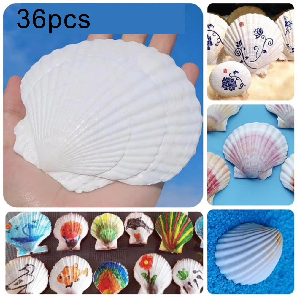 36 قطعة قذائف التقوقع الأبيض الطبيعي DIY بها بنفسك الحرف اليدوية ، ديكور الشاطئ وحفلات الزفاف رسمت باليد الكتابة على الجدران ملصقات جدار الحرف الديكور