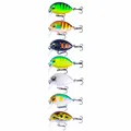 7pcs