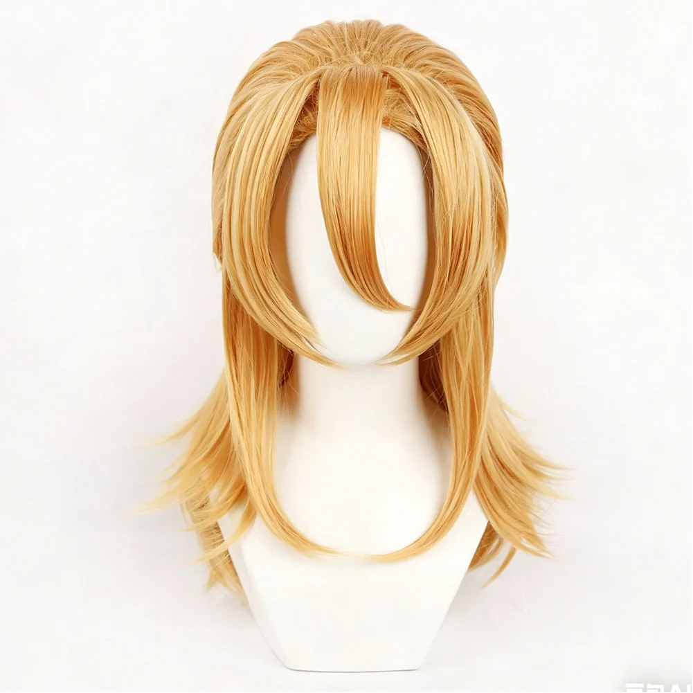 Diego Brando Wigs Cosplay Wig Anime JOJO Roleplay Costume Accessories Headwear Hair Carnival Halloween Party Props Man Headgear view 2