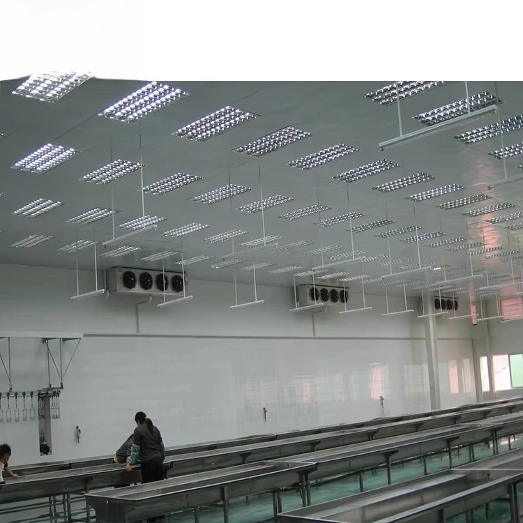 Cammina nella stanza fredda Refrigerazione per riporre il congelatore da 10 a 100 tonnellate Prezzo per carne Pesce Pollo Cipolla Verdura Frutta