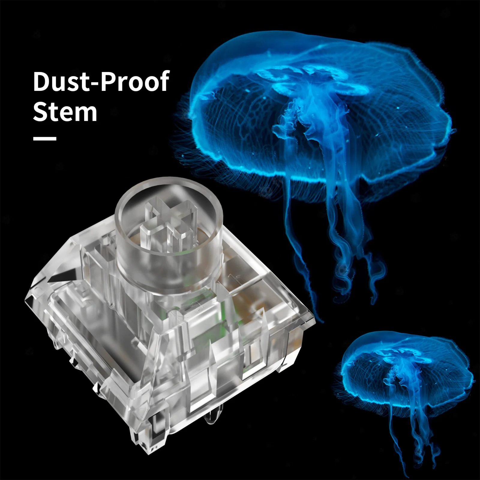 【未使用】Kalih Jellyfish Box スイッチ China Kailh Jellyfish Box Switch Factory, Manufacturers and