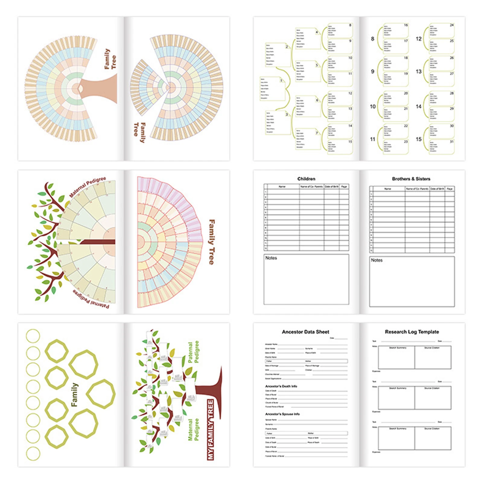 Genealogy Organizer Family Tree Book With Multi Generation Tracking And Structured Layout For Family History Preservation