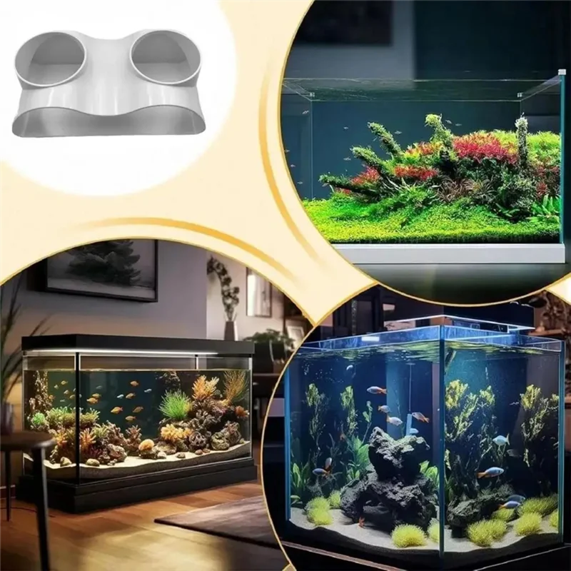 ABFI Benthic Organisms Scenichiding Places ลาดใต้ดิน, ถ้ํา, พิพิธภัณฑ์สัตว์น้ํา Double Hole, พิพิธภัณฑ์สัตว์น้ํา