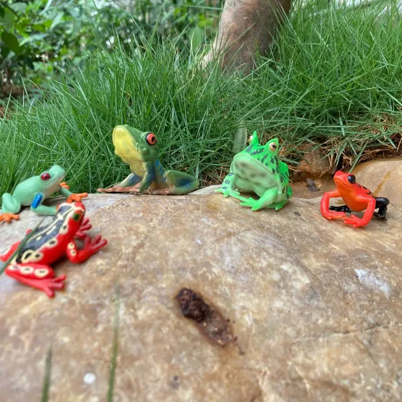 Rubber Toad Frog Animal Model Realistic Educational Toy for Kids' Daily Use
