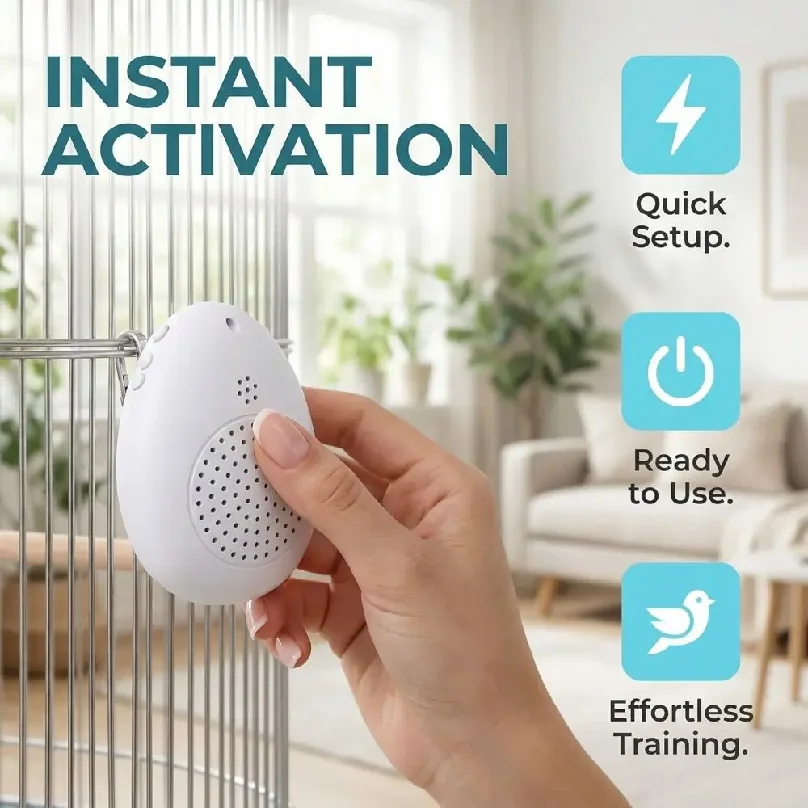 Recording Bird Learning Machine Playback Interactive Parrot Teach Talking Timer-Controlled Multi Segment Audio Source