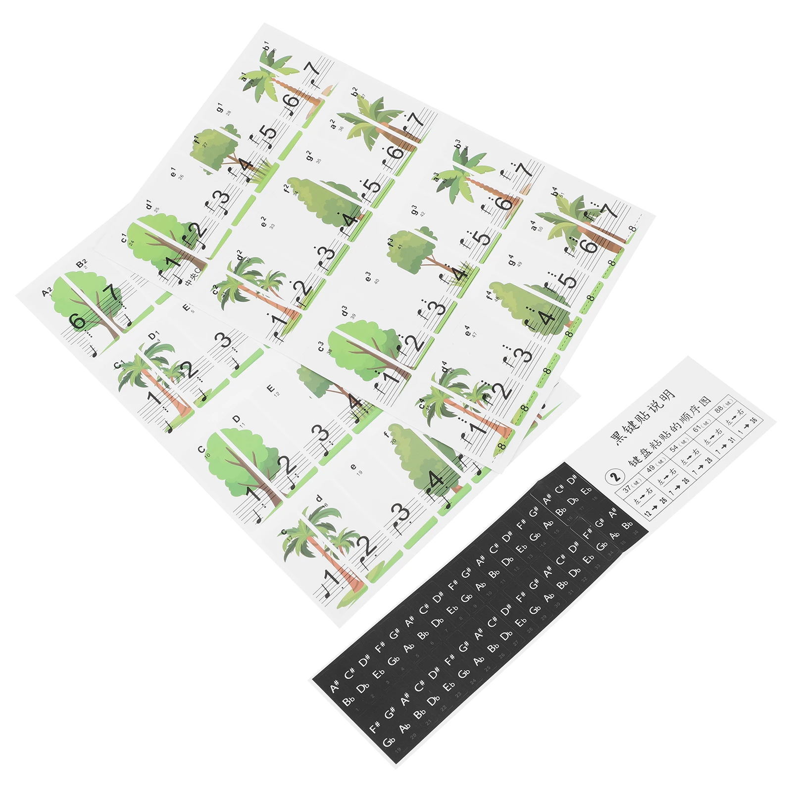 

Piano Key Stickers Waterproof Durable No Residue Wear-Resistant For Beginners Piano Keyboard Decal Label Music Instrument