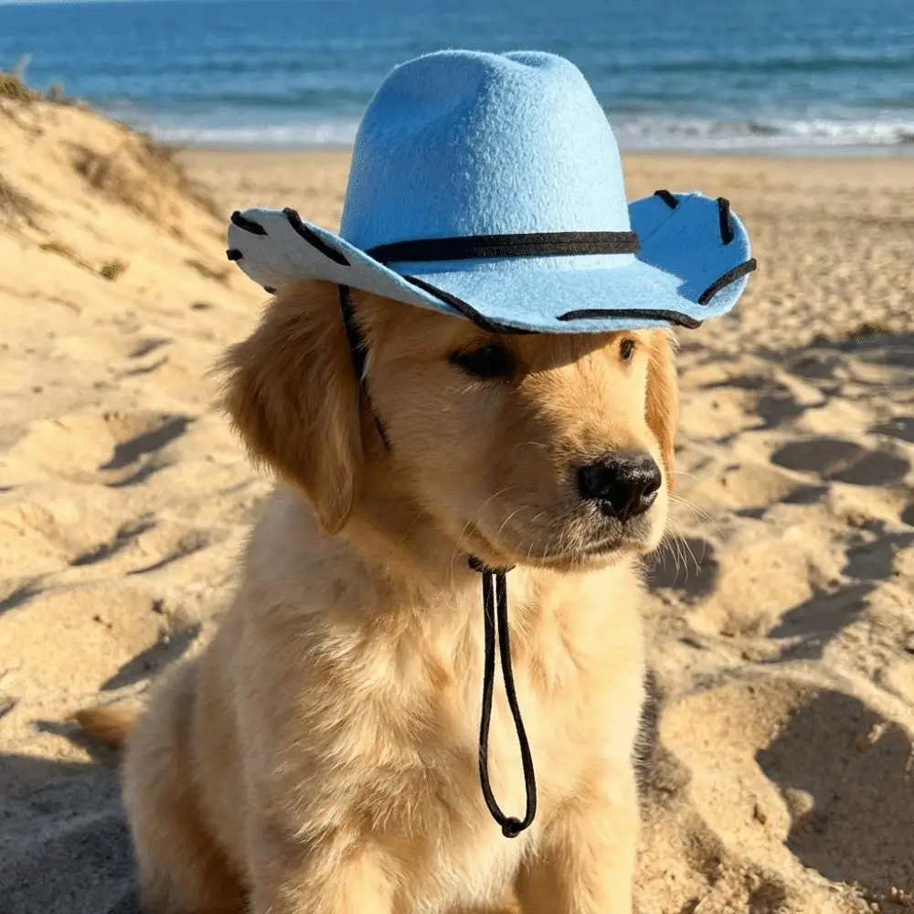 Dog Fisherman Hat Adjustable Dog Cowboy Hat Handmade Stitched Breathable Pet Dog Sun Hat Secure Fit Cat Sunscreen Hat Pet Party