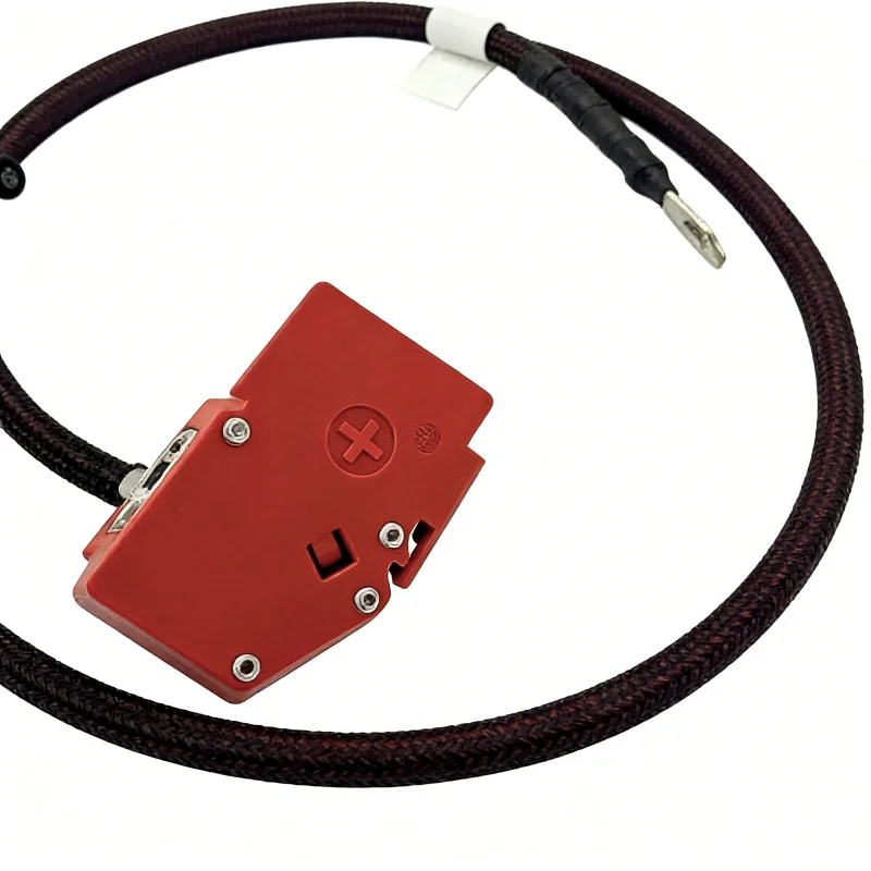 61128795489 61128796040 Positive Battery Fuse Cable For BMW G30 G38 G11 G12 X5 X7 Car Accessories Hybrid or Normal