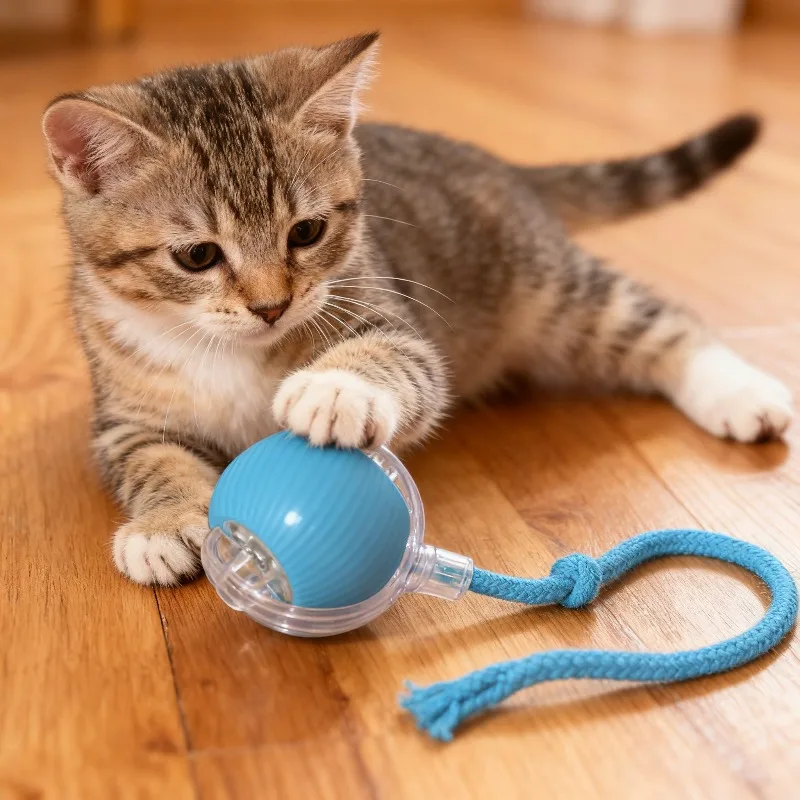 

Intelligent interactive cat ball long-lasting and durable easy to clean intelligent obstacle avoidance pet dog toys Pet Supplies
