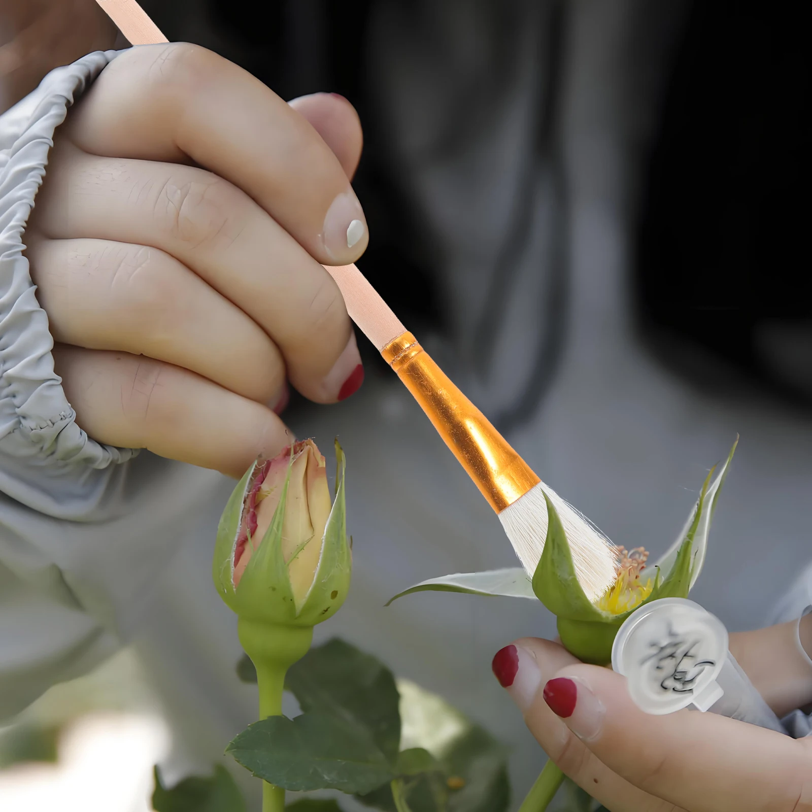 

10pcs Pollination Tool for Succulents Fruit Trees Vegetable Brush Pen Flowers Plant Gardening Tools Portable Hand Pollinator