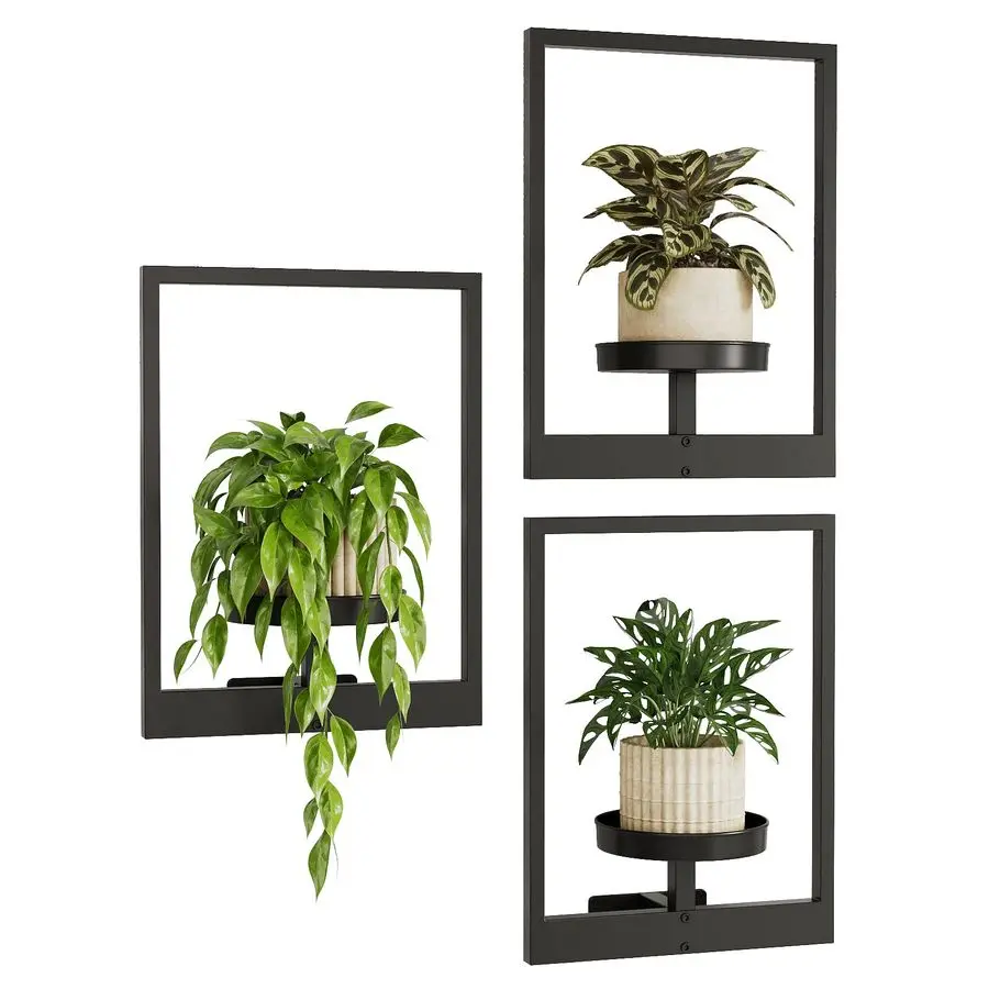 

Hanging Planters for Indoor Plants Wall Decor Living Room Plant Stand Indoor Wall Planters Plant Hanger Window Plant Shelves 3