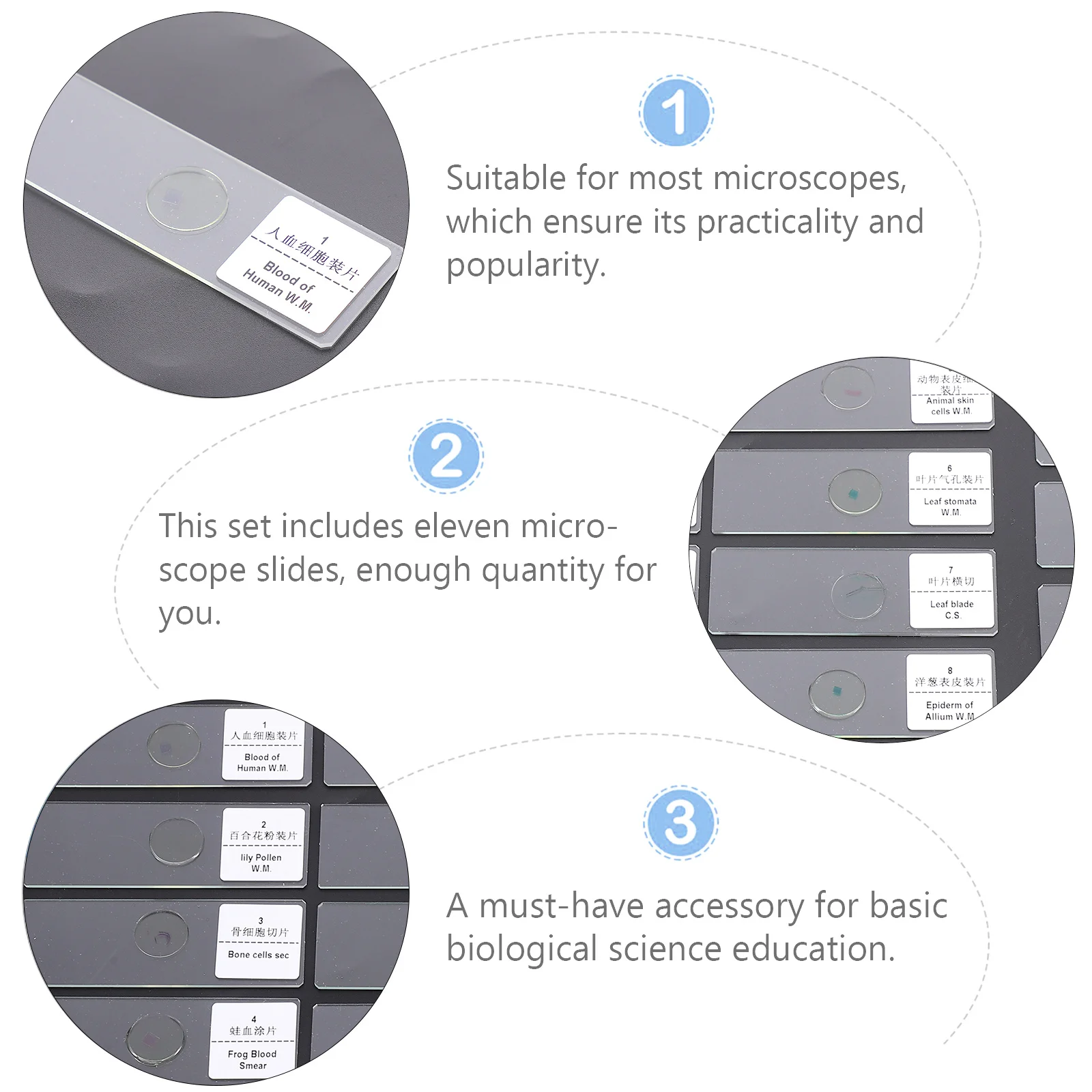 

1Set Microscope Slides Glass Material Durable Practical Bioexperiment Biological Education Props Smooth Edges Students