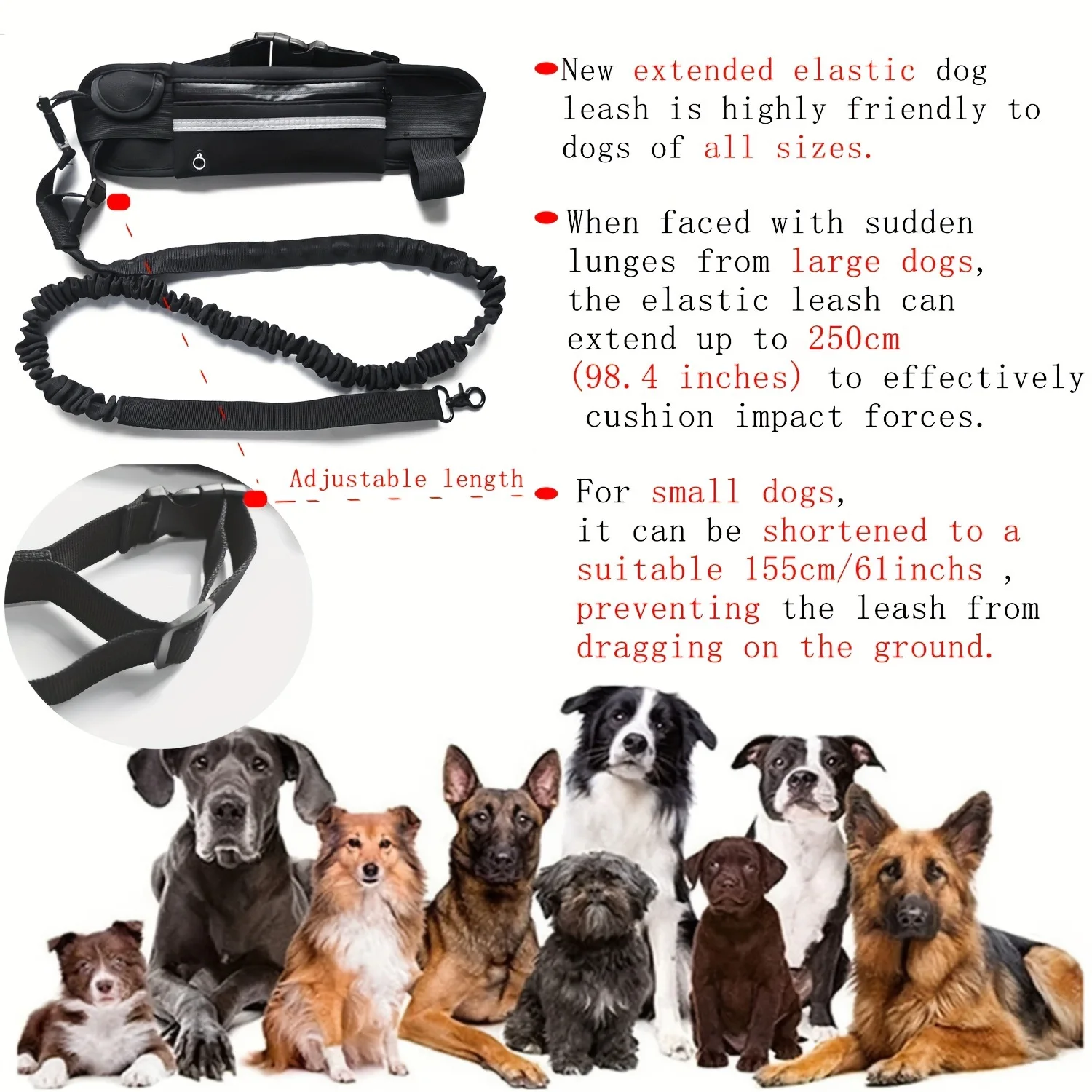 Hands-Free Reflective Dog Running Leash 6