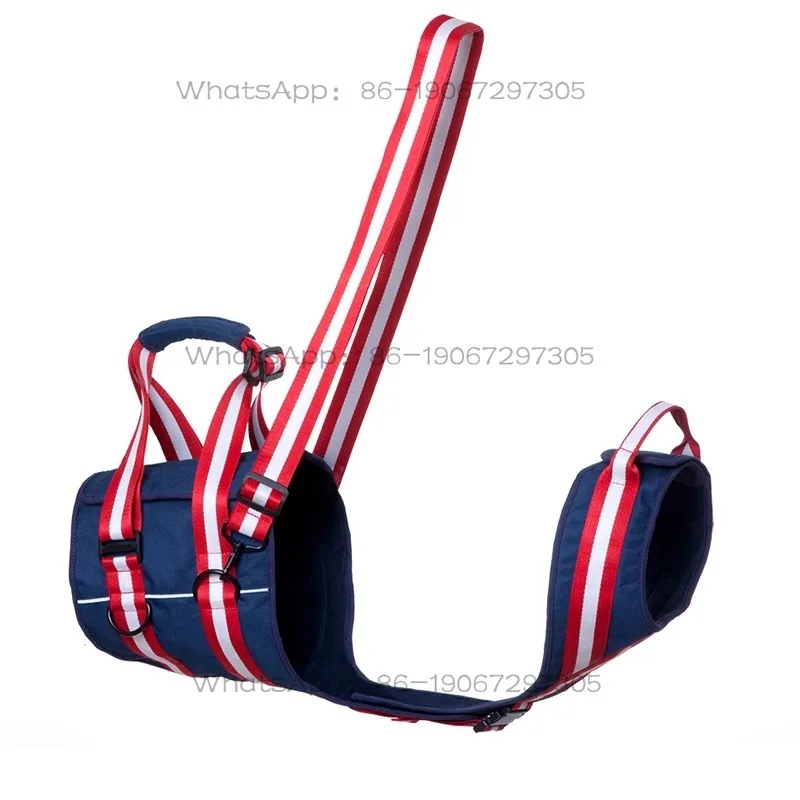 Elderly dog assisted walking with weak hind legs, pulling the harness upstairs to assist with artifact