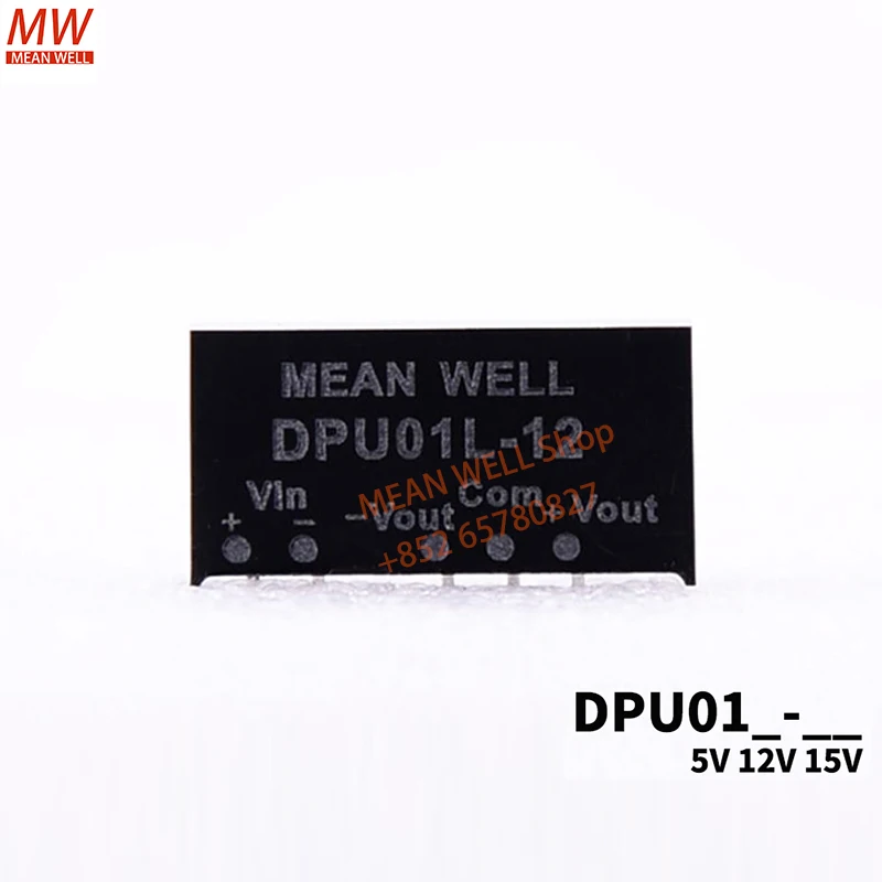 MEAN WELL Switching Power Module 1W SIP Package DC-DC Unregulated Converter DPU01N-12 DPU01L-12