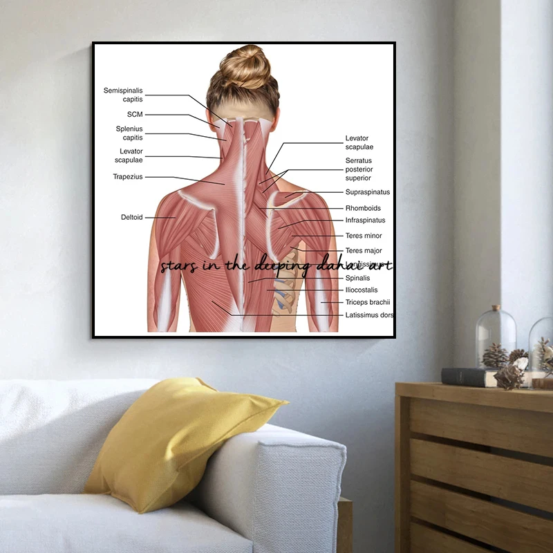 Anatomy The Neck Muscles Head Face Muscles Overview Art Medical Poster Canvas Painting Wall Art Prints Picture Home Clinic Decor