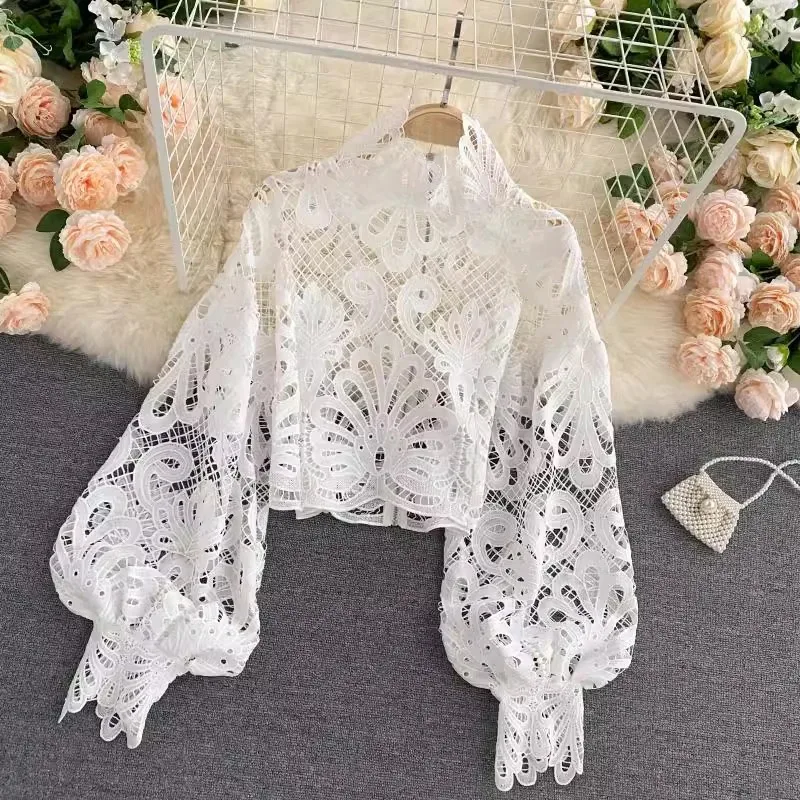 Elegant Hollow Out Long Sleeve Lace Blouse for Women, Stylish Stand Crochet, Cotton White Shirts, Sexy Crop Tops, 16296, New