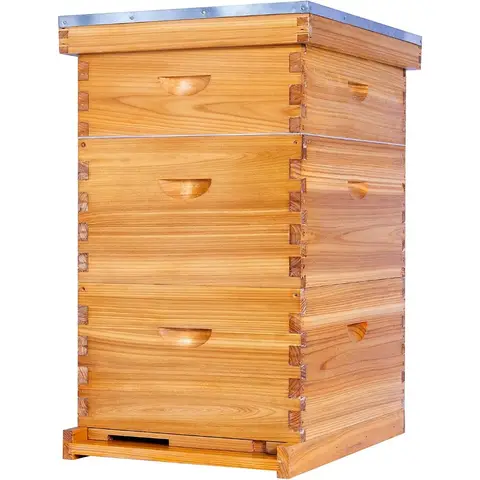 Langstroth Bee Hive Kit complet de ruche d'abeille enduit de cire d'abeille comprenant des cadres de ruche et des feuilles de fond de teint cirées pour l'apiculture
