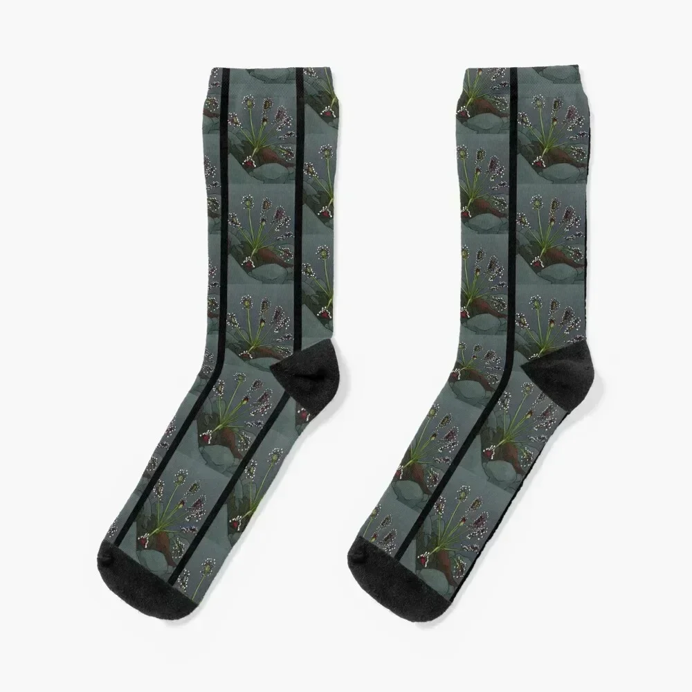 

Sundew Classic . Socks gift christmas stocking christmass gift luxury Socks For Men Women's