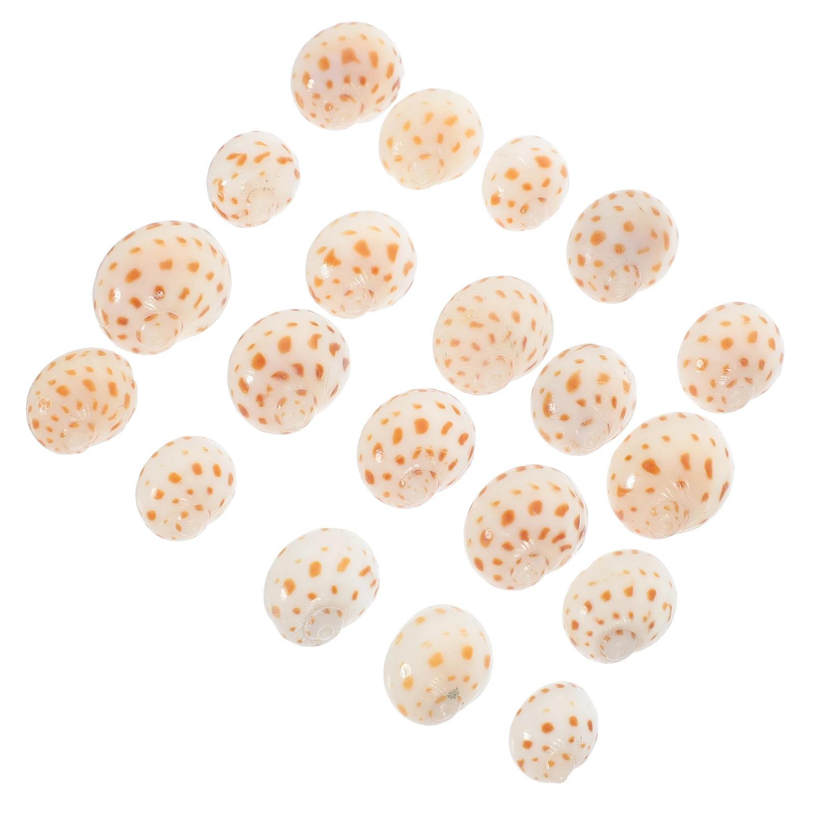 

20Pcs DIY Conch Shell Decorations Hermit Crab Shell Replacements Natural Aquarium Conch Decor Fish Tank Landscape Ornament