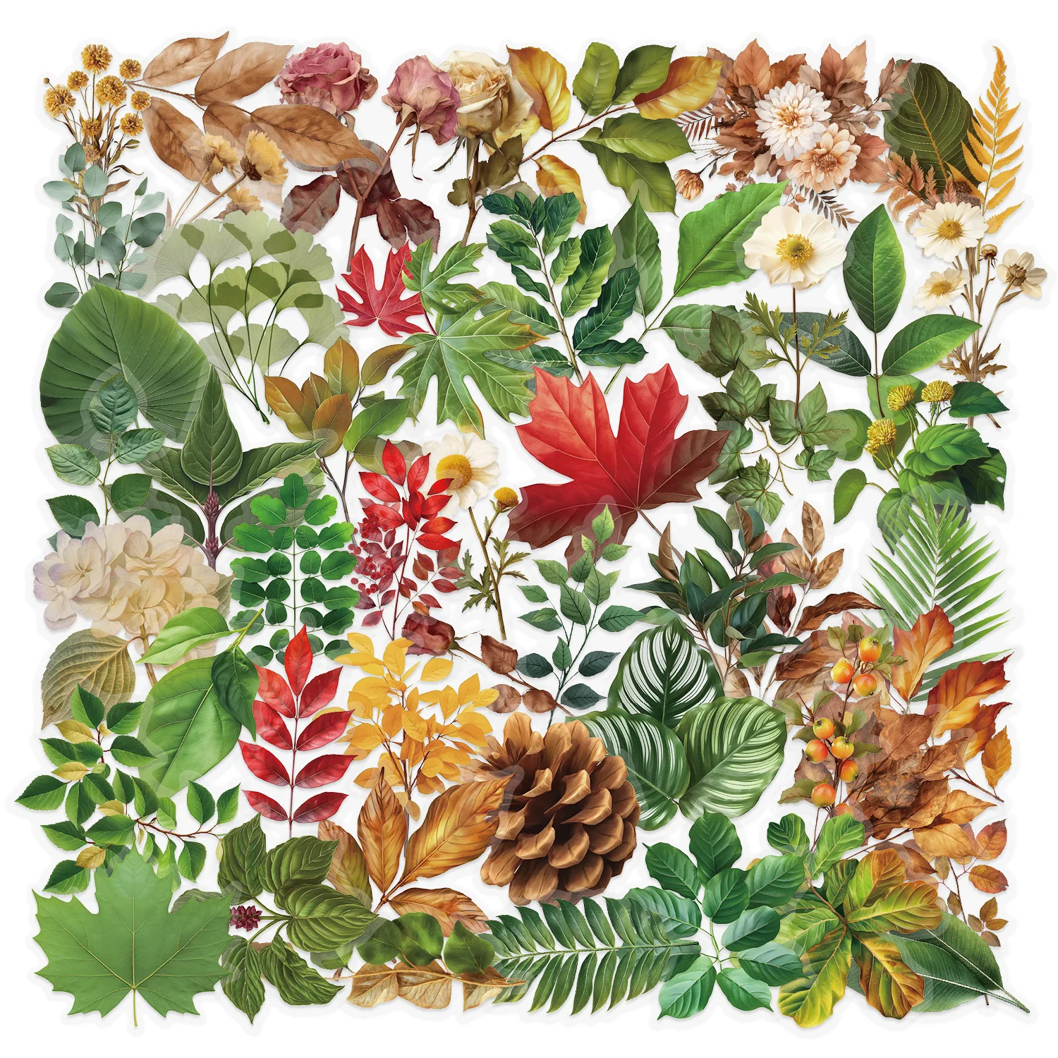 

50Pcs Green Plants Transparent Stickers Graffiti Decals Phone Guitar Laptop Notebook Suitcase Water Cups Waterproof Sticker