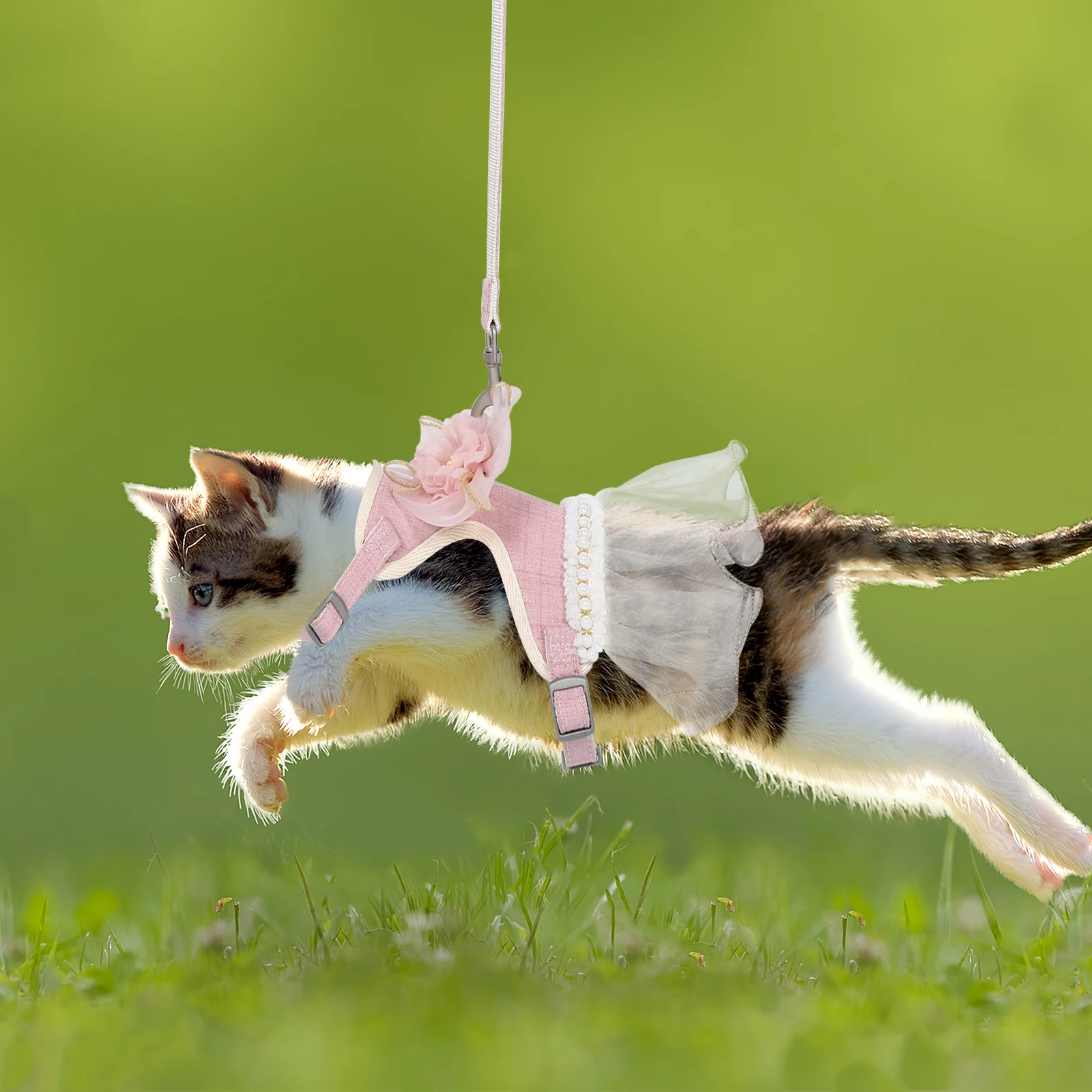 

Soft Adjustable Cat Harness and Leash 3.5-6kg Escape Proof Tulle Flower Decor Breathable Mesh Vest for Small Animals