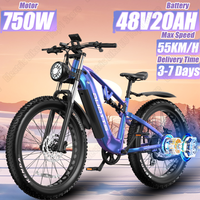 Electric Bicycle 750W Powerful Motor 48V20AH Lithium Battery E-Bike 26*4.0 Inch Fat Tire Hydraulic Brake Off-road Electric Bike