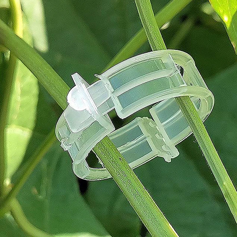 10Pcs White J Shaped Plant Ear Hook Garden Vegetable Plant Grape Support Vines Fastener Clips Trellis Fixed Buckle Hook