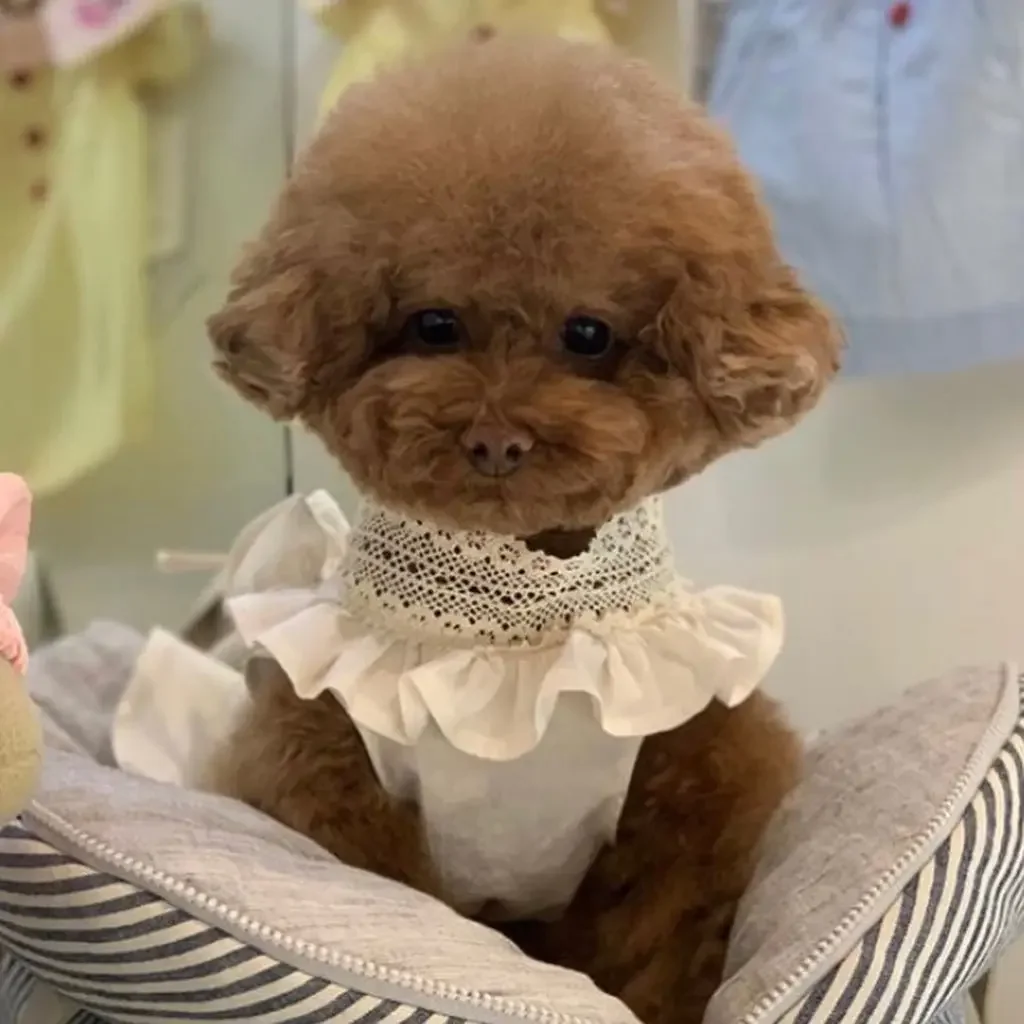 Handmade Cotton Linen Lace V-neck Lace Bandage Dog Skirt Pet Dog Clothes Puppy Dress Girl Chihuahua Cat Dresses