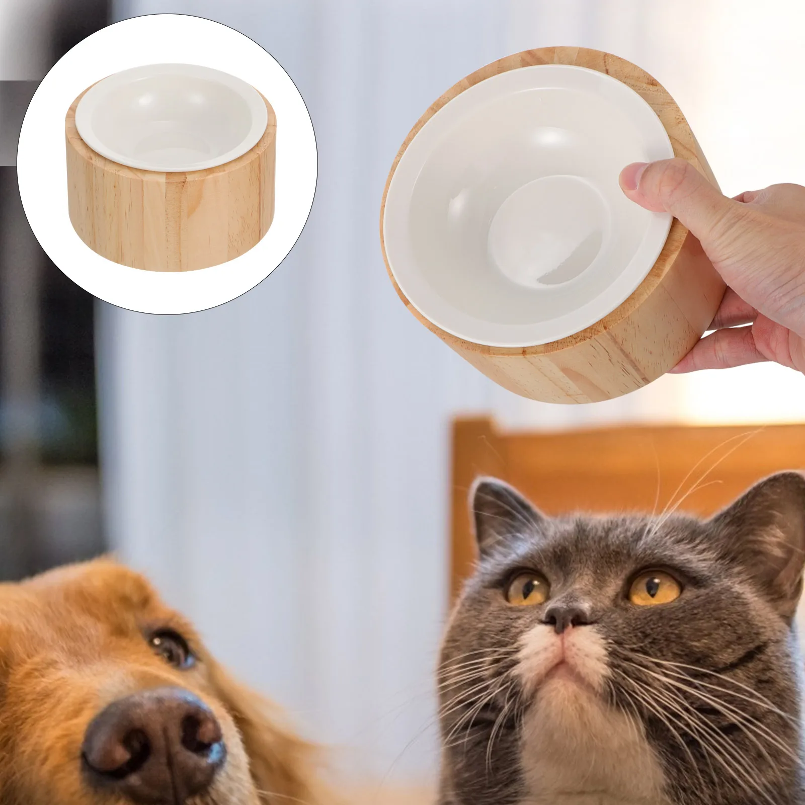 

Creative Elevated Feeder Feeder Dish Water Pet Supplies Feeding Cat Food Dish Cat Bowl Bowl