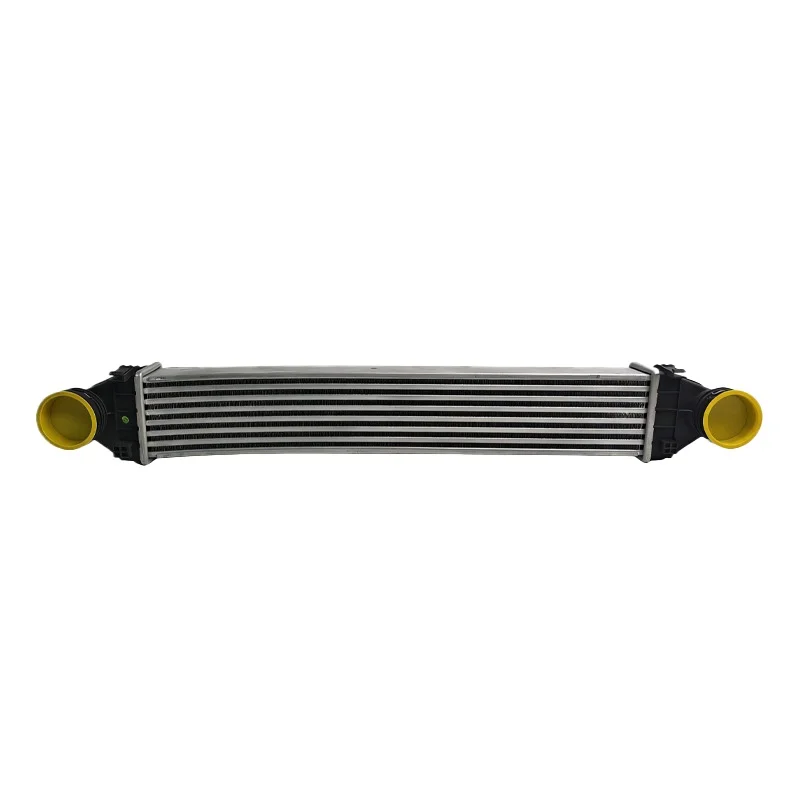

Air Cooled Intercooler for Mercedes-Benz B200 W245 2006-2011 2.0L Turbocharged W169/W245 1695000000