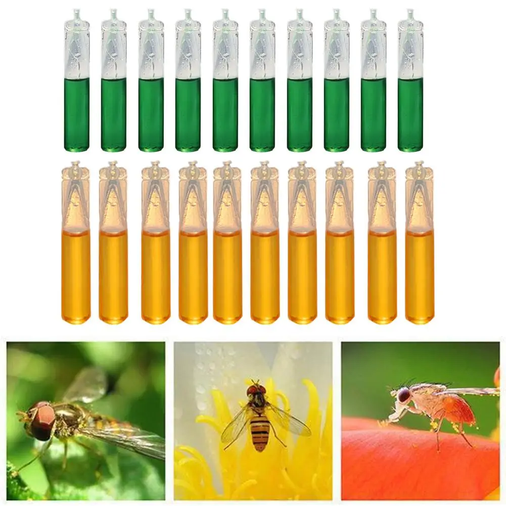 

10pcs Drosophila Attractant Fruit Fly Attractant Liquid Fruit Fly Killer For Outdoor Camping Travaling 2023 New Pheromone I4U8