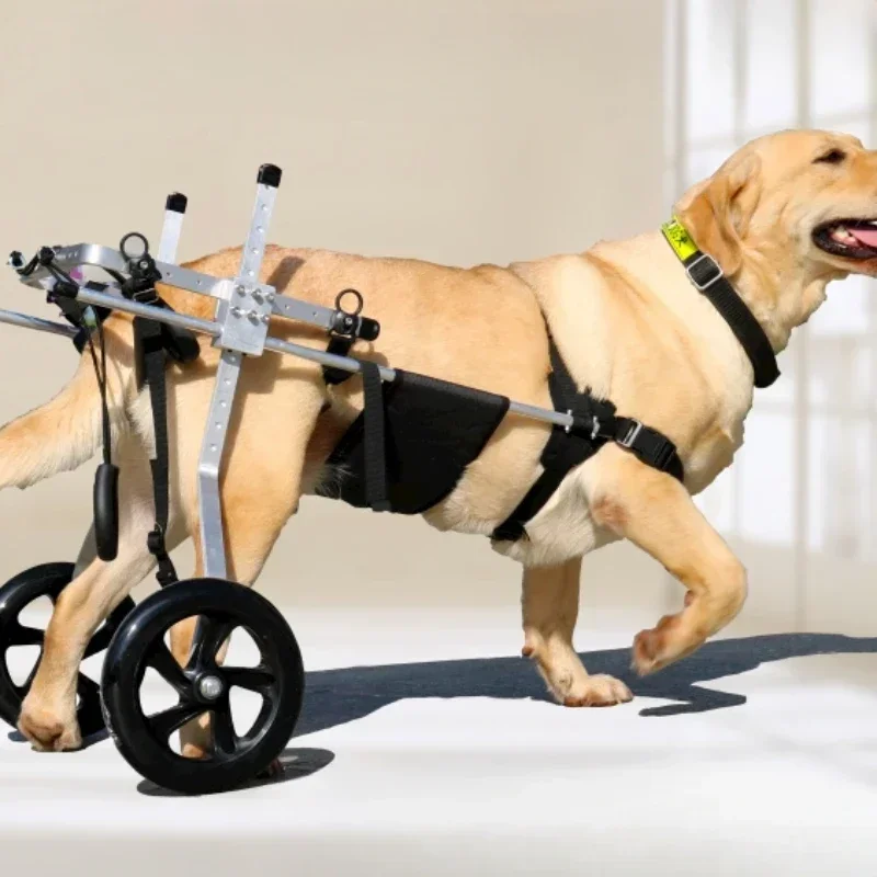 Large Dog Wheelchair for Hind Limb Rehabilitation Training Aid for Paralysis and Spondylitis Mobility Assistance