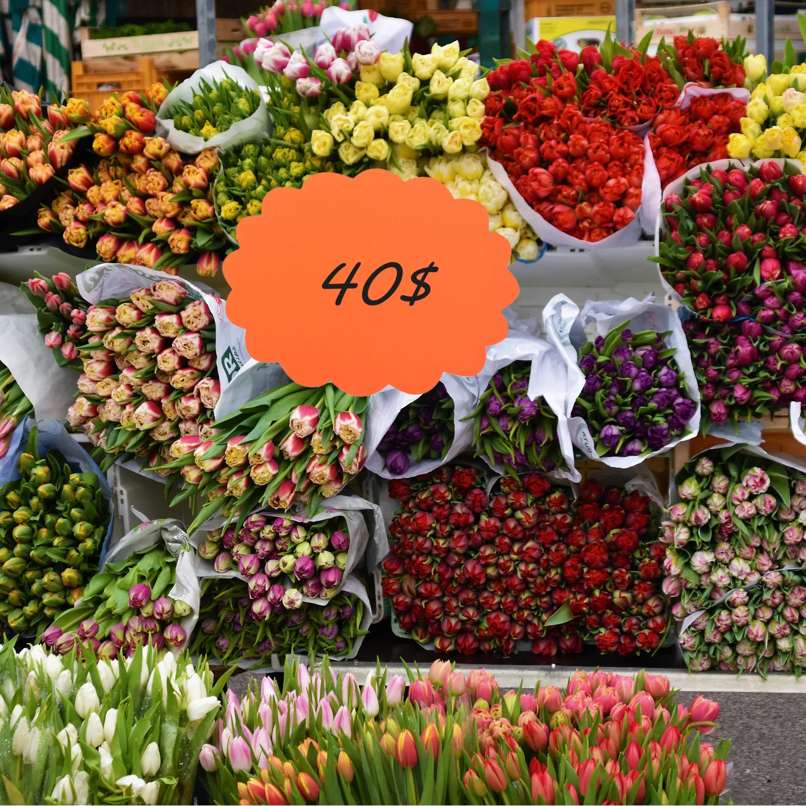 

40Pcs Fluorescent Explosion Shaped Price Tags Bright Eye-Catching Paper Labels Market Retail Sale Price Signs Creative Commodity