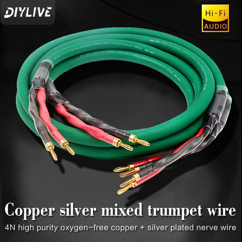 DIYLIVE Enthusiast speaker speaker cable HiFi pure copper main speaker cable 4-core audio medium audio cable