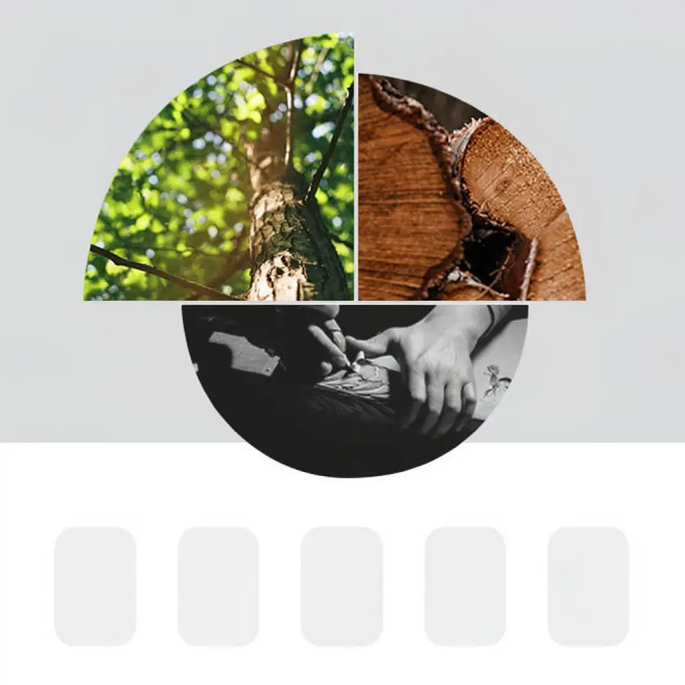 Sustainable Acacia Wood Leaf Serving Tray Minimalist Snack Plate For Sushi Dessert Afternoon Tea Kitchen Tableware