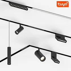 스마트 Tuya 마그네틱 트랙 조명 내장형 LED 스포트라이트 통 메인 조명 조명 그릴 램프 시리즈가 없는 거실