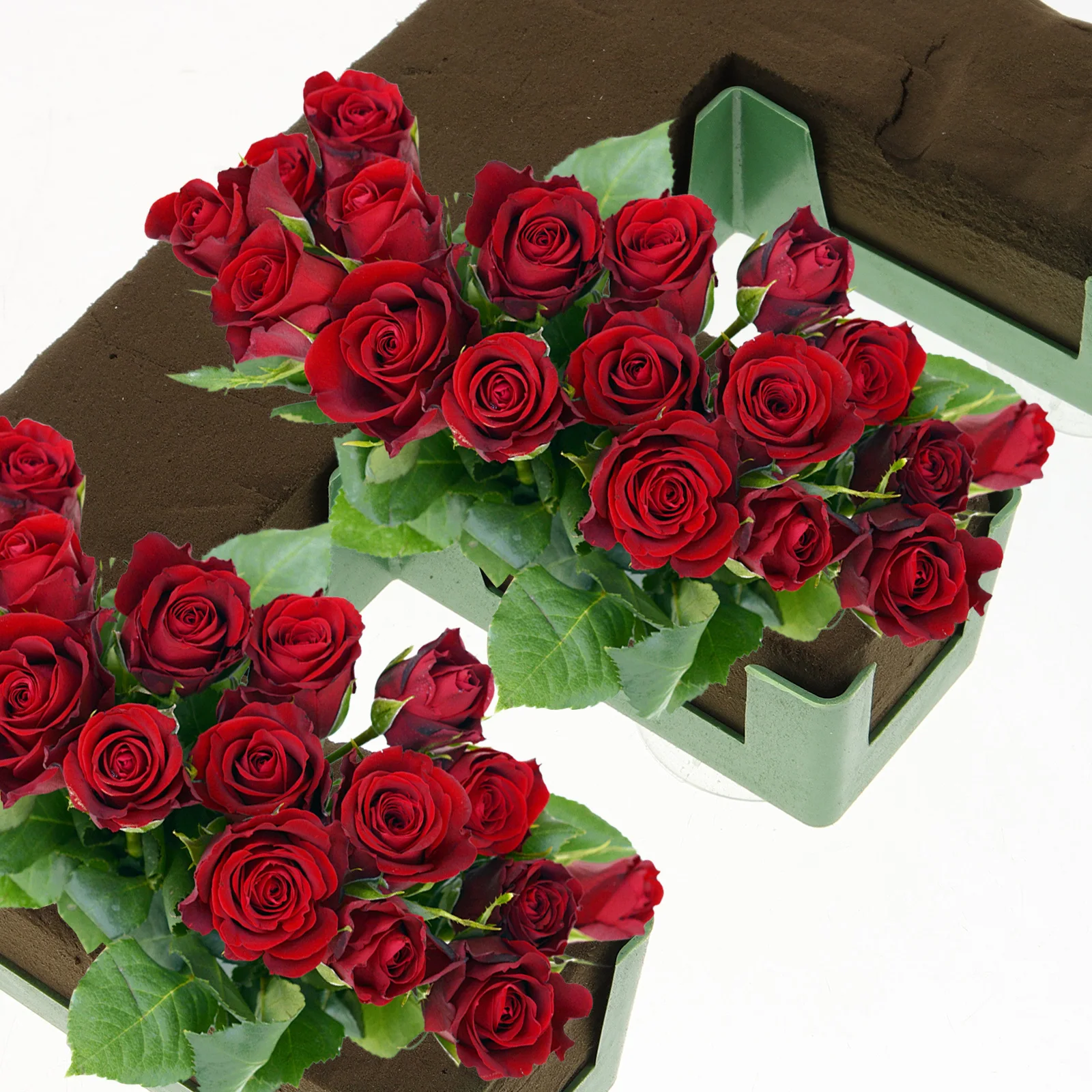 

Wedding Car Mud Floral Foam Blocks Water Absorb Flower Accessories Artificial DIY Arranging Suction Cup Holder