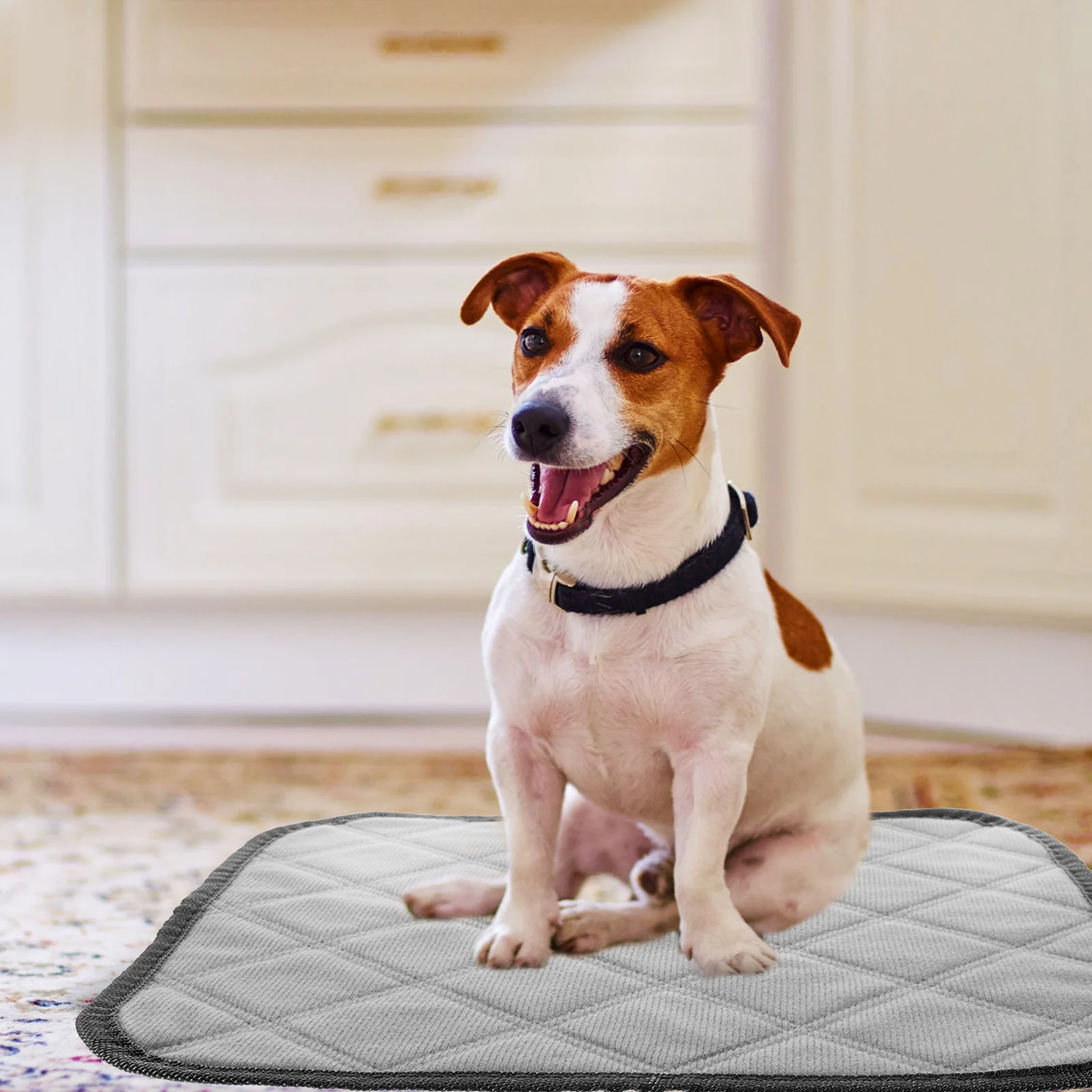

2 Pcs Dog Urine Pad Hamster Pee Pet Pads Washable Cage Liners Guinea Pig Dogs Polyester Small Animal Absorbent Sleeping Bed
