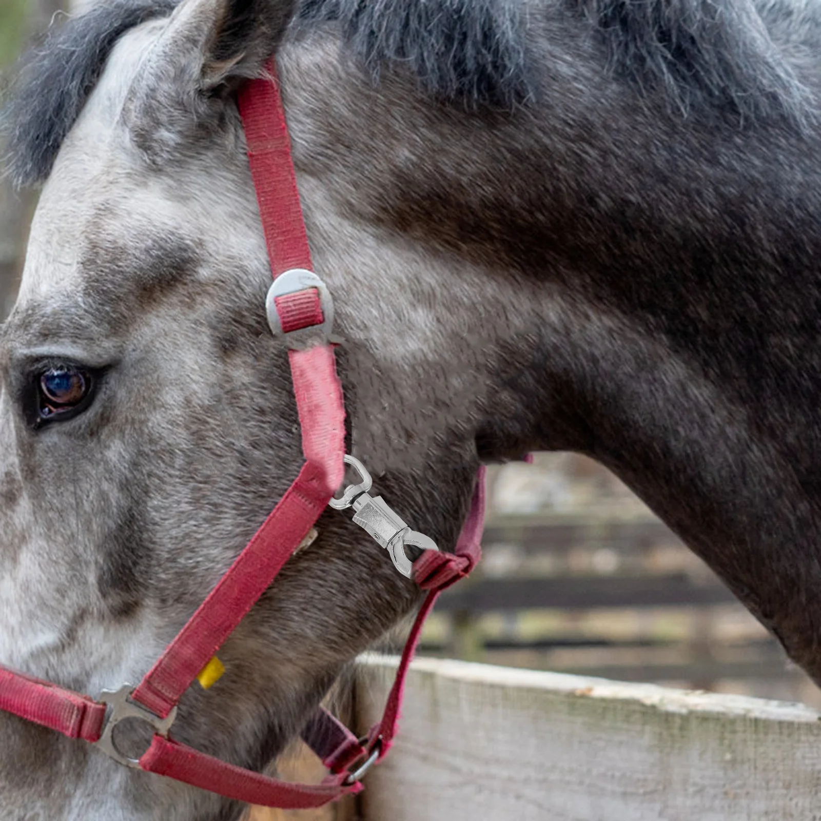 سبائك الزنك الحصان Bridle المفاجئة هوك الثقيلة الإفراج السريع لخطافات الفروسية معدات ركوب الخيل في الهواء الطلق