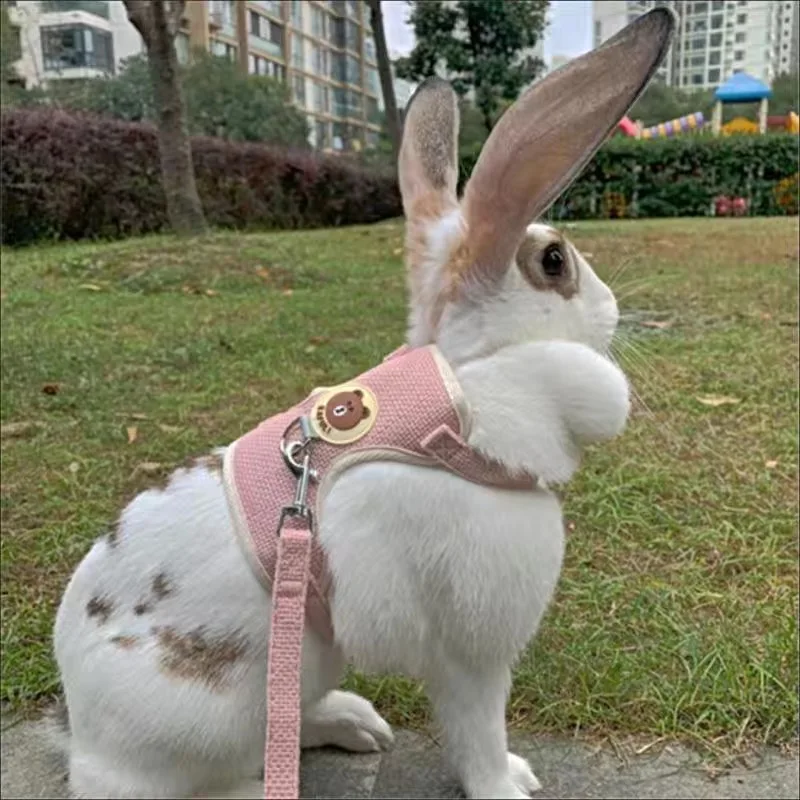 Nieuwste schattige konijnenharnas en riemset Bunny huisdieraccessoires Vestharnassen Konijnenriemen voor buiten wandelen Huisdierenbenodigdheden