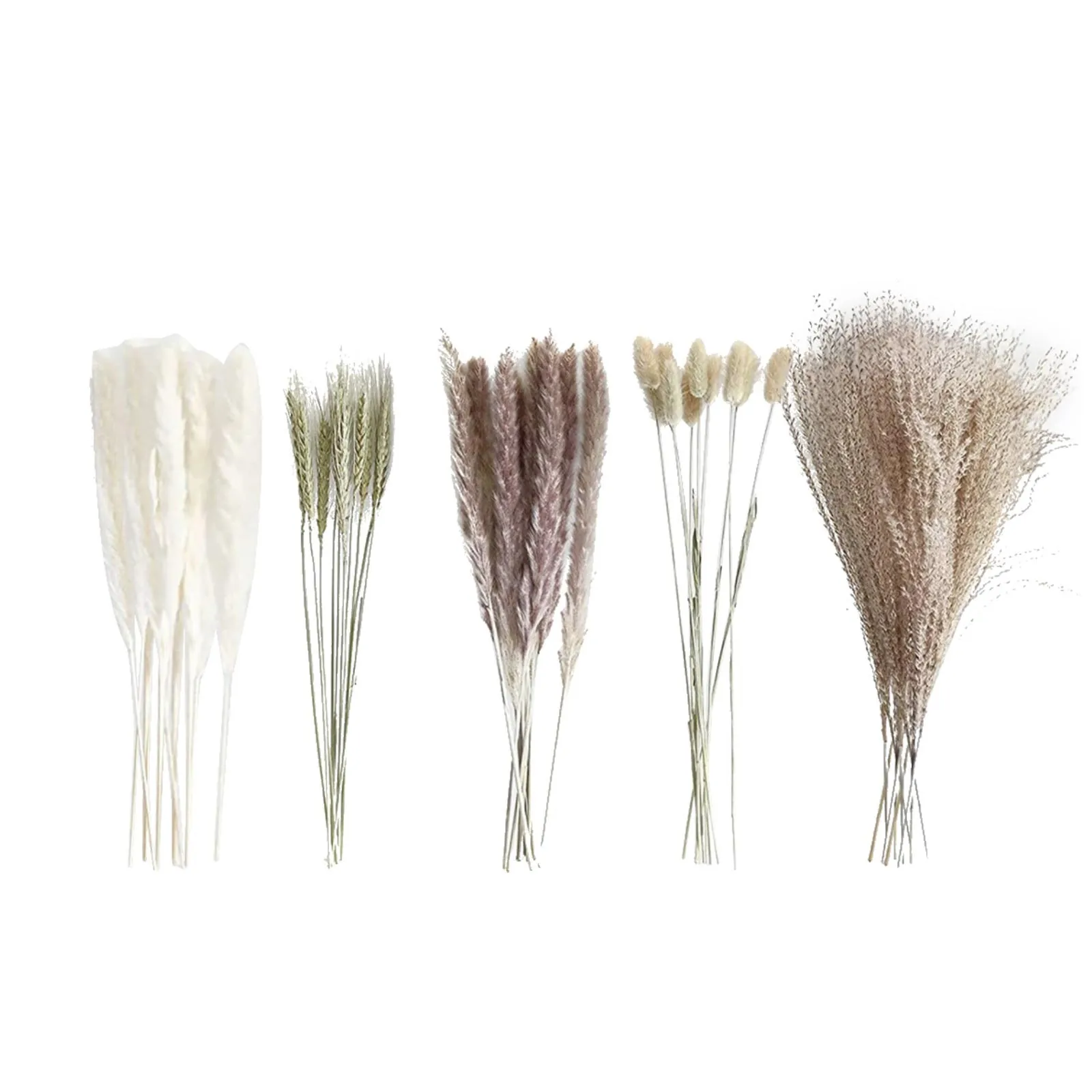 105pcs Natural Dried Flowers Pampas Floral Bouquet Boho Country Home Decoration Rabbit Tail Grass Reed Wedding Decor Arrangement