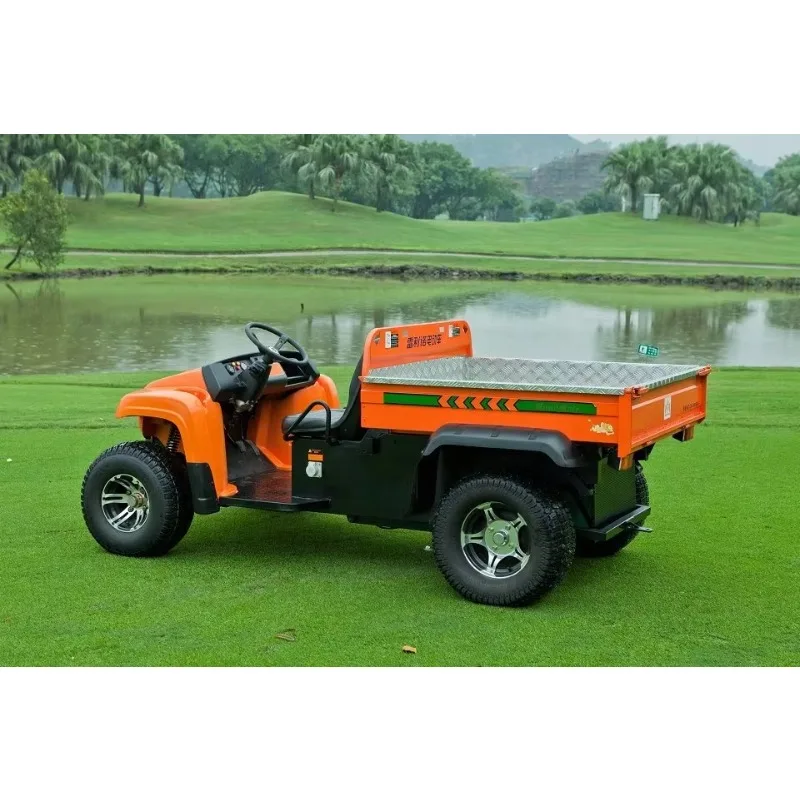 【El más vendido】 Vehículo utilitario de 2 plazas Camión de carga eléctrico Mini camión volquete eléctrico UTV con alta popularidad