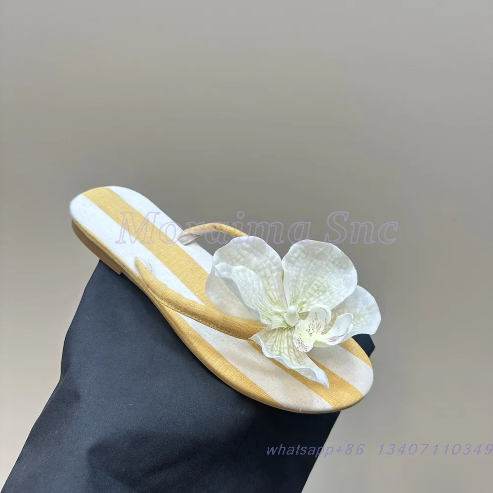 

Phalaenopsis Flower Decor Round Toe Slides Flat With Clip Toe Slip On Women's Slippers Casual Outdoor Mixed Colors Summer 2025
