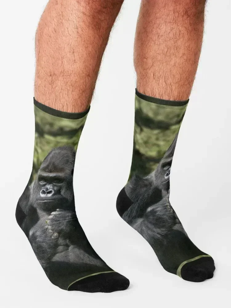 Silverback Gorilla Portrait Socks football sports and leisure kawaii sports stockings Male Socks Women's