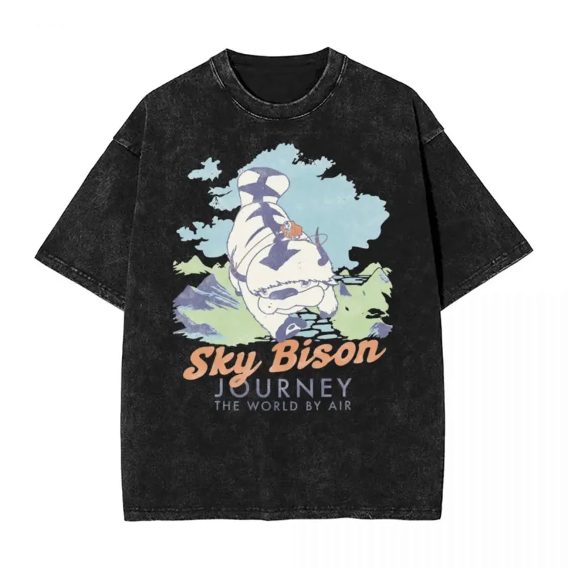 Washed T Shirts Avatar-The Last Airbender Sky Bison Journey World Hip Hop Vintage T-Shirts Street Streetwear Tops Tee Shirt Men